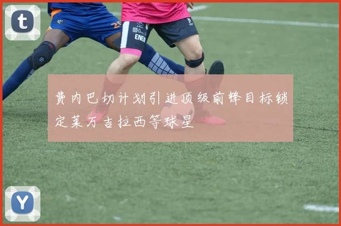 费内巴切计划引进顶级前锋目标锁定莱万吉拉西等球星